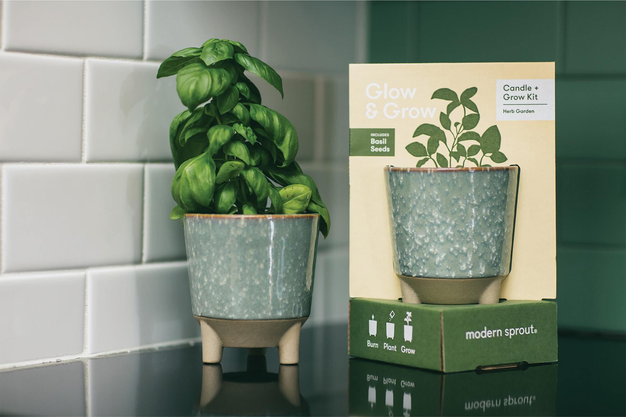 Sada na pěstování bylinek