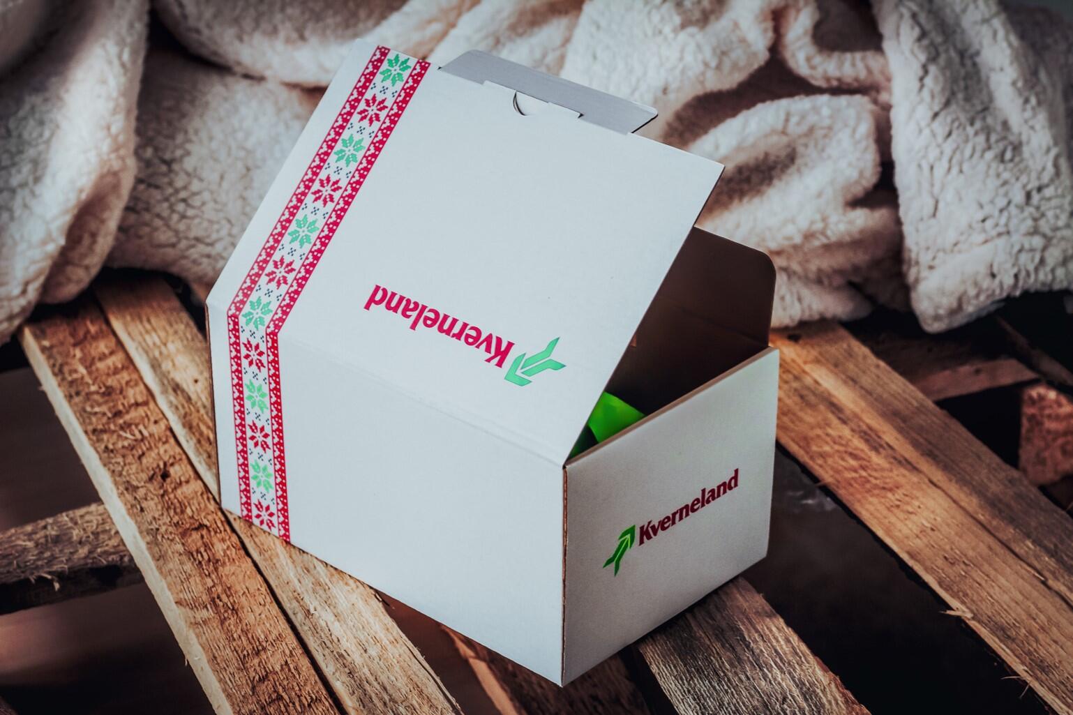 Kverneland Norsko – Česko 1:1